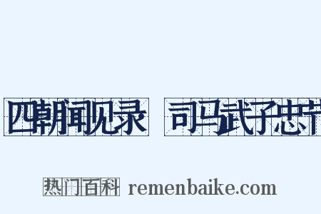 四朝闻见录·司马武子忠节是什么意思的图片